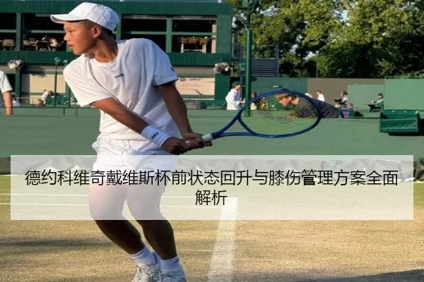 德约科维奇戴维斯杯前状态回升与膝伤管理方案全面解析