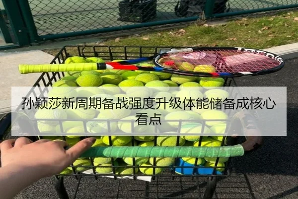 孙颖莎新周期备战强度升级体能储备成核心看点